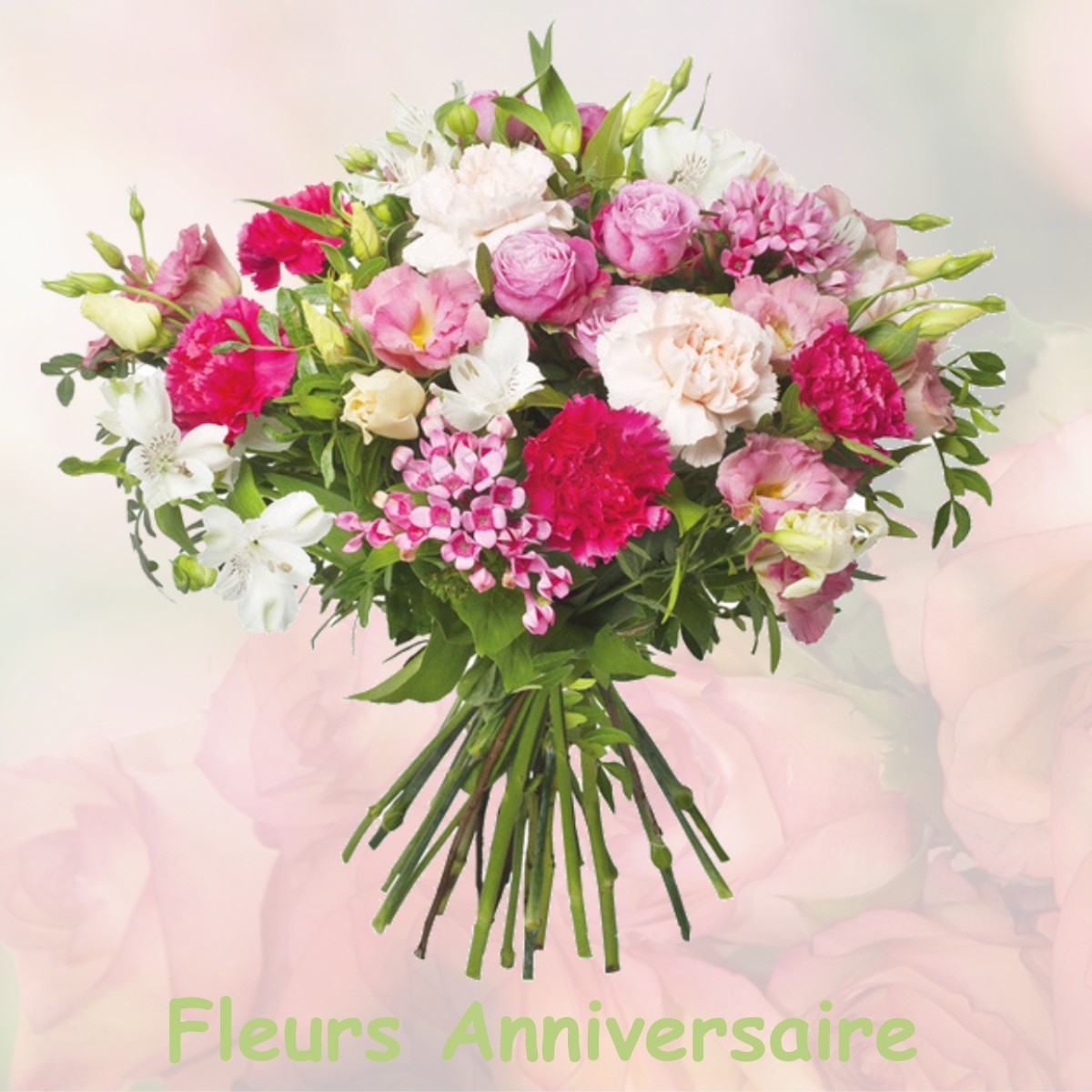 fleurs anniversaire FRAIZE